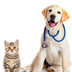 Black Rose Writing Small Animal Veterinary Medicine Kindle eBook-0