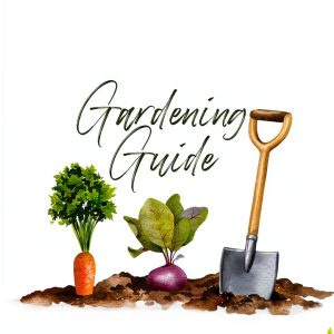 Amazon Kindle Gardening Guide for Beginners-0