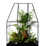 House Plant Care Guide by Cool Springs Press eBook for Beginners-0