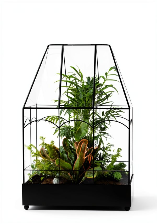 House Plant Care Guide by Cool Springs Press eBook for Beginners-0