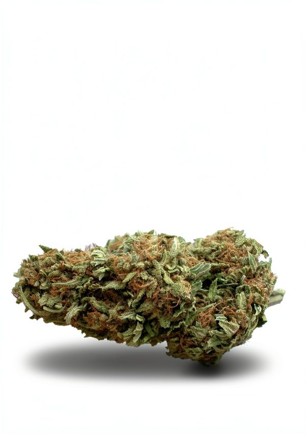 Marijuana Cultivation Guide Kindle Edition by Dale Denton 2015-0