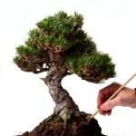 Japanese Garden Tree Gardening Guide by Ten Speed Press Kindle eBook-0